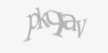 Қорғаныс коды